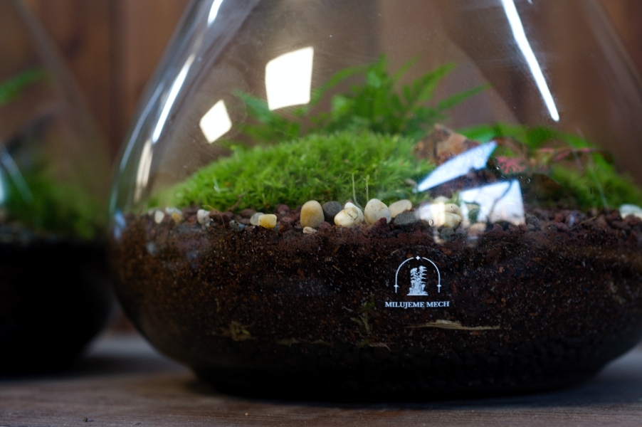 Milujeme mech logo_1